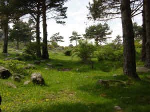 Pico Arcipreste de Hita 2