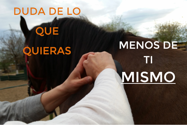 caballo anihoca